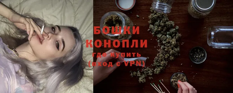 Бошки марихуана THC 21%  Галич 